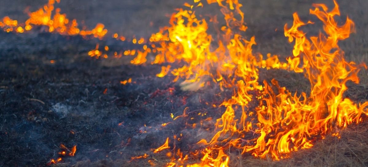 Case in legno e resistenza al fuoco